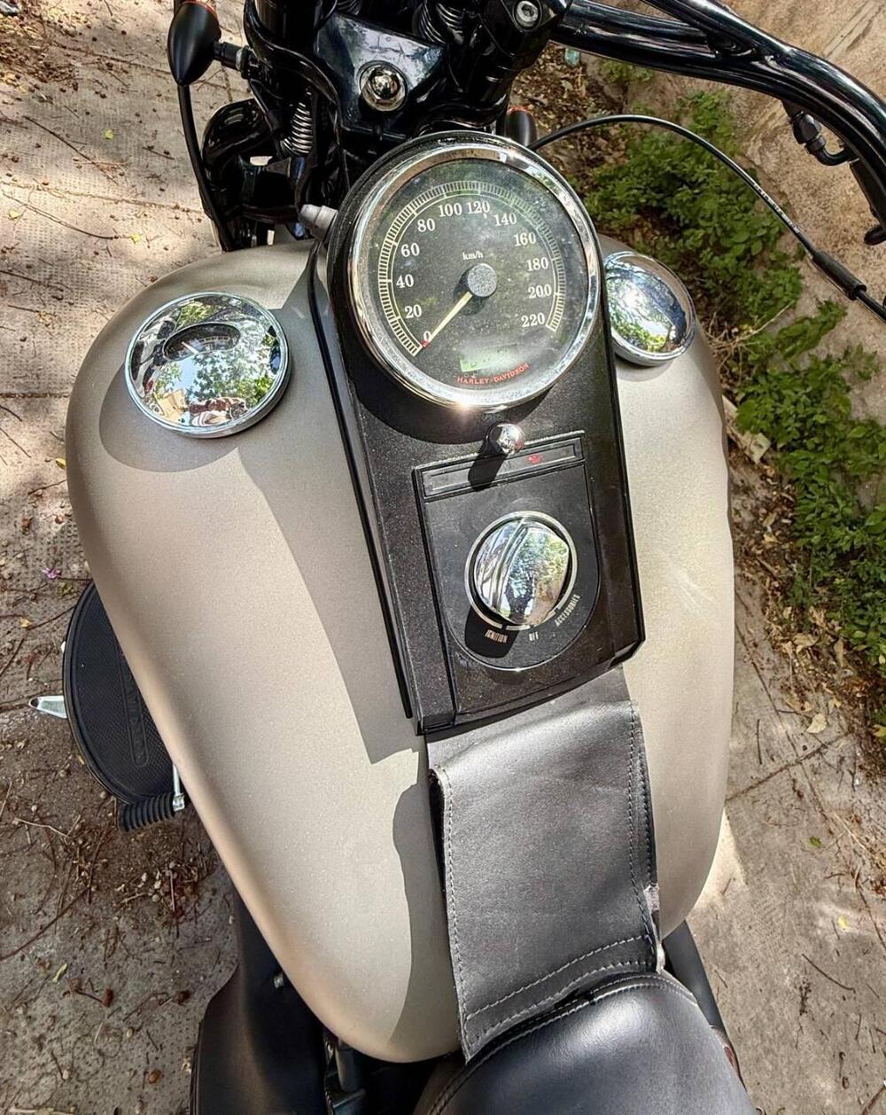 Harley-Davidson 1584 Cross Bones (2008 - 11) - FLSTSB (9)