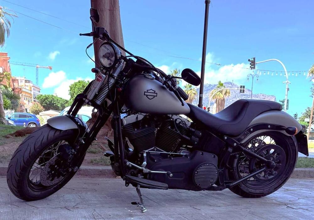 Harley-Davidson 1584 Cross Bones (2008 - 11) - FLSTSB (12)