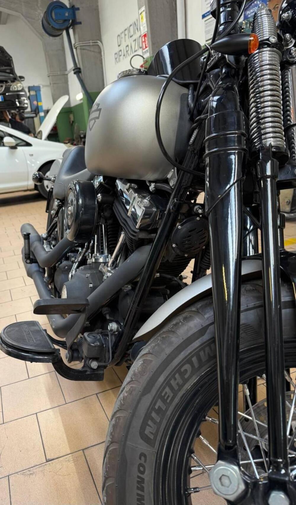 Harley-Davidson 1584 Cross Bones (2008 - 11) - FLSTSB (13)