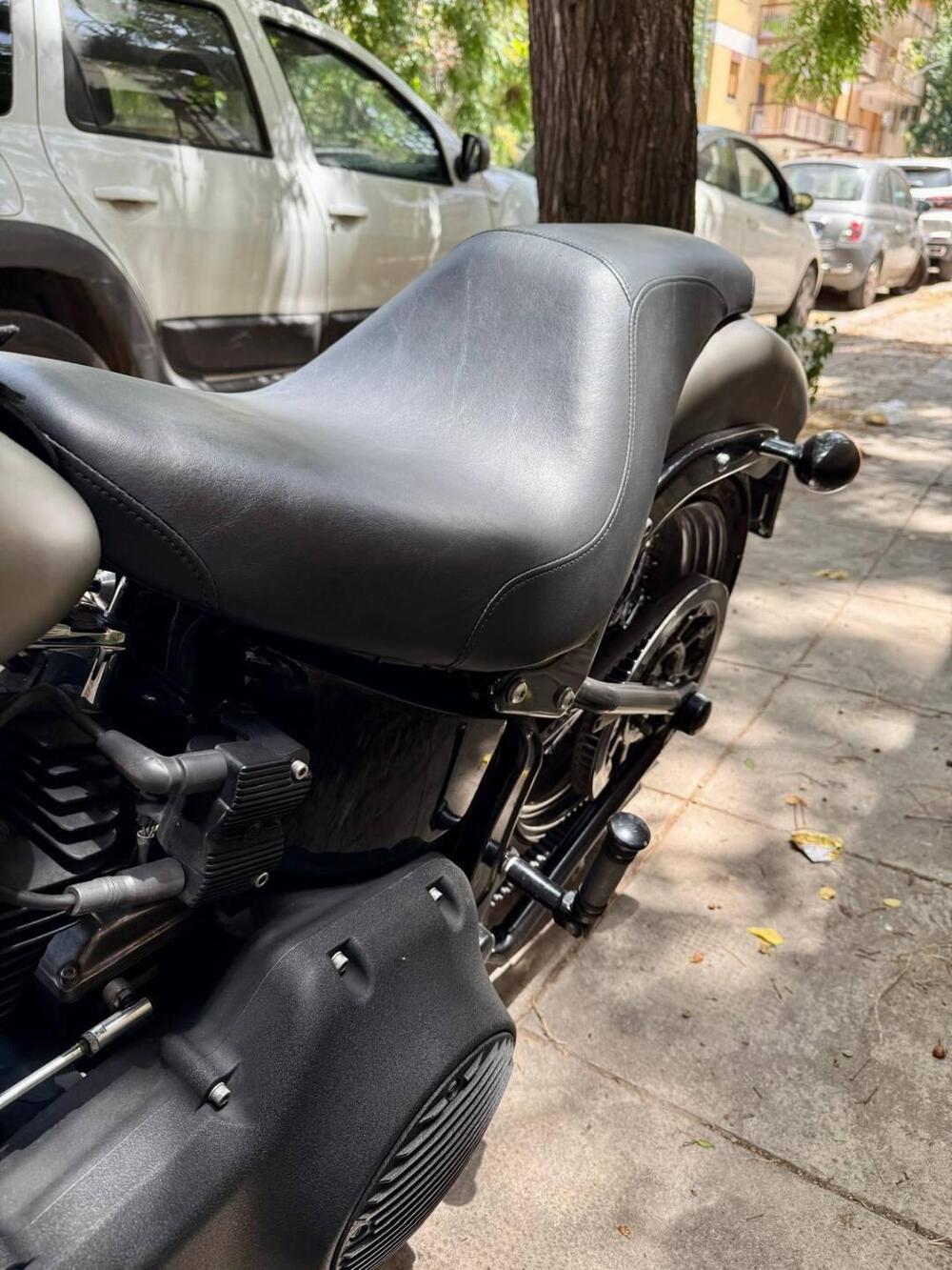 Harley-Davidson 1584 Cross Bones (2008 - 11) - FLSTSB (14)