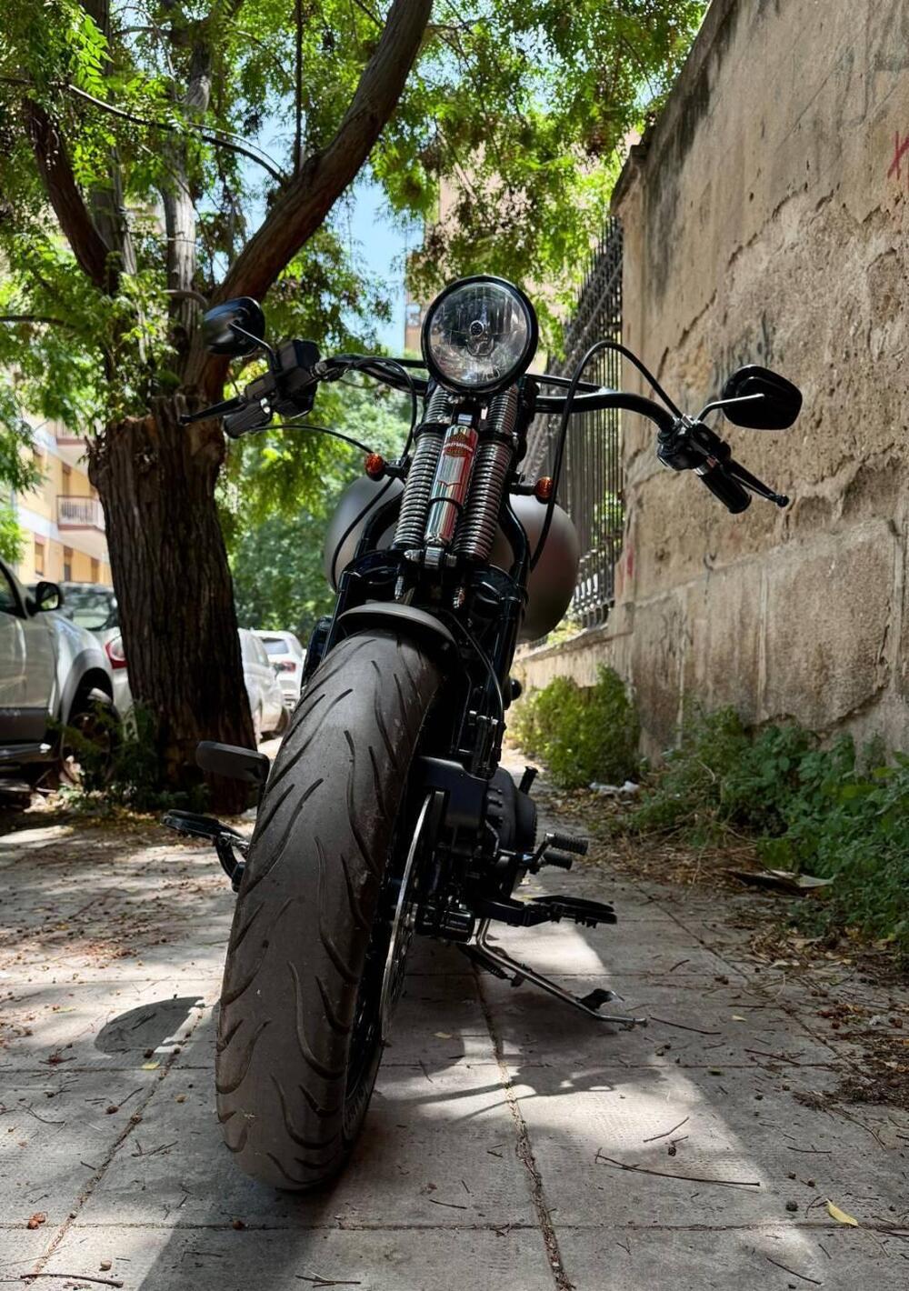 Harley-Davidson 1584 Cross Bones (2008 - 11) - FLSTSB (16)