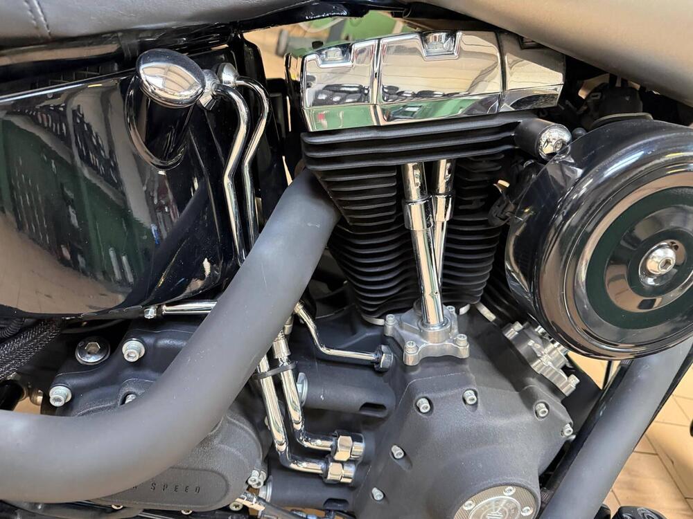 Harley-Davidson 1584 Cross Bones (2008 - 11) - FLSTSB (18)