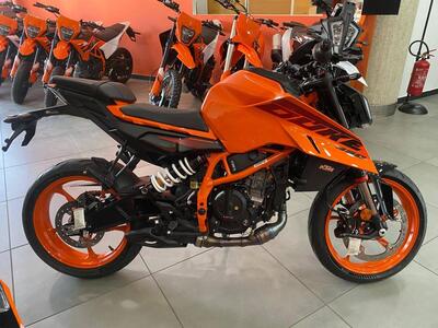 KTM 390 Duke (2024 - 26) nuova