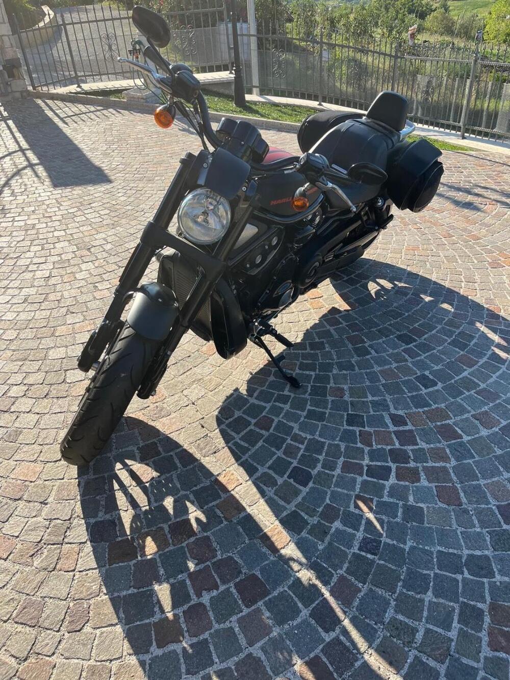 Harley-Davidson 1250 Night Rod Special (2008 - 17) - VRSCDX (5)