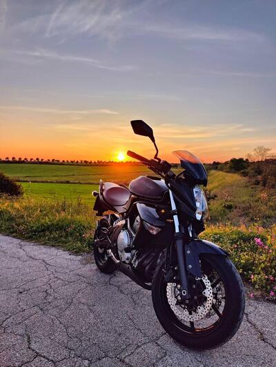 Kawasaki ER-6N (2005 - 08) usata