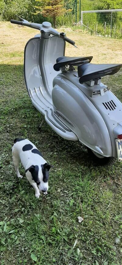 Innocenti Lambretta 125 LI Special d'epoca