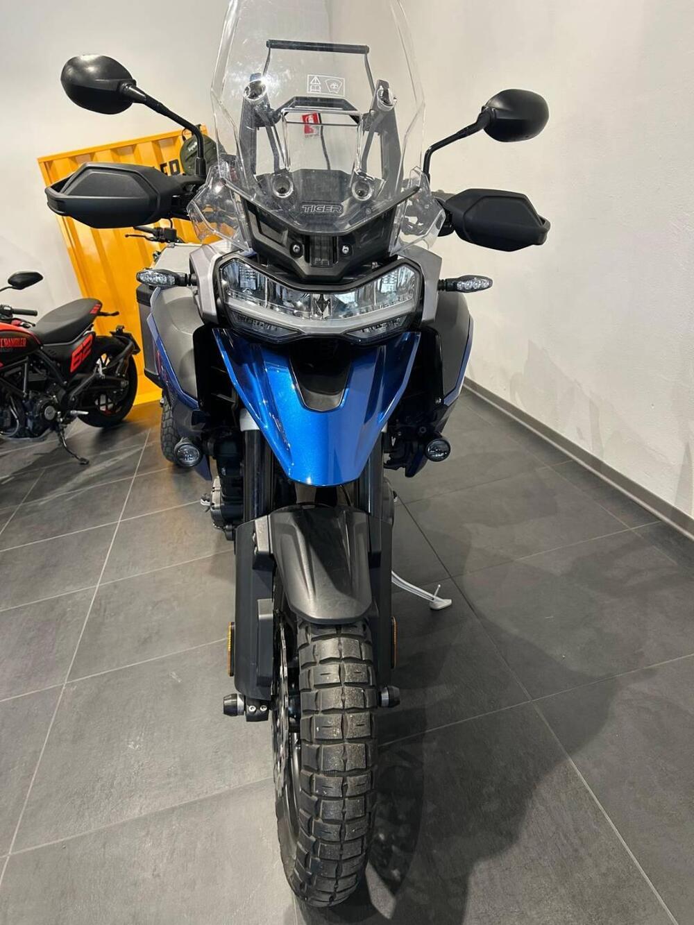 Triumph Tiger 1200 GT Pro (2024 - 26) (6)