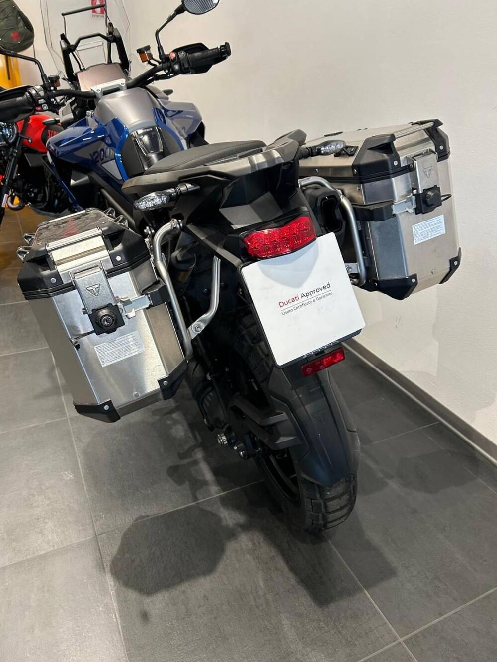 Triumph Tiger 1200 GT Pro (2024 - 26) (14)