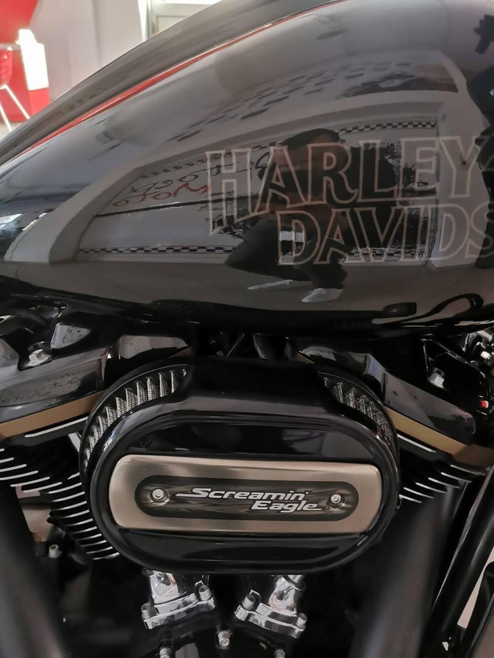 Harley-Davidson Road Glide ST (2022 - 23) (5)