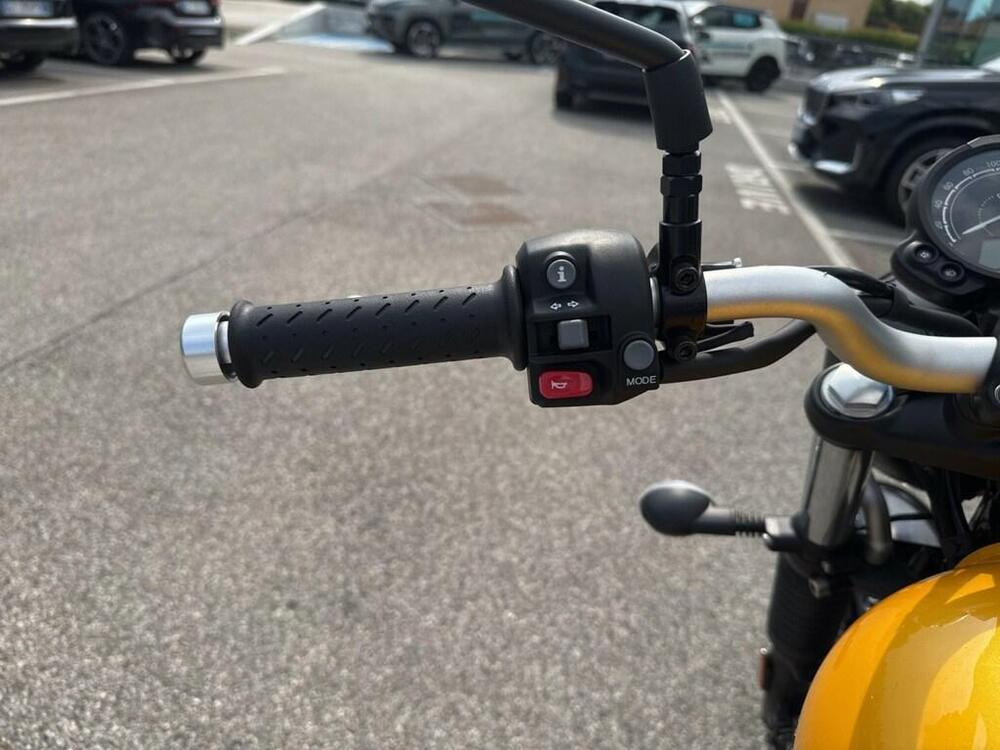 Triumph Scrambler 900 (2023 - 25) (9)