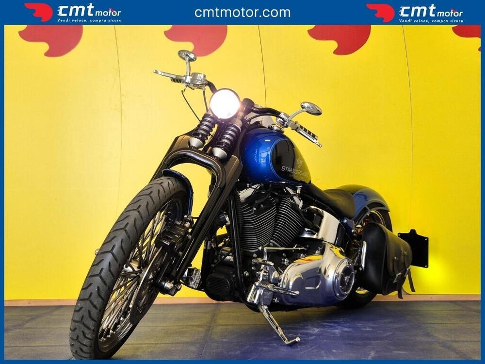 Harley-Davidson 1584 Custom (2008 - 09) - FXSTC (2)