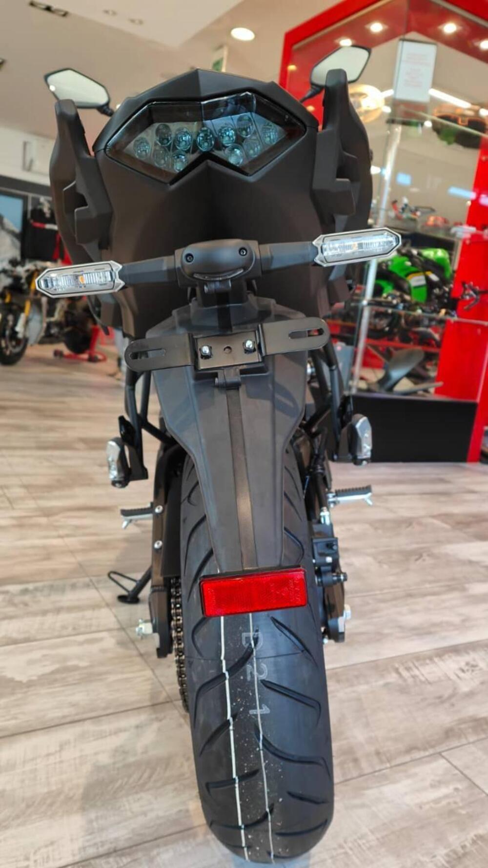 Kawasaki Versys 650 (2025 - 26) (6)