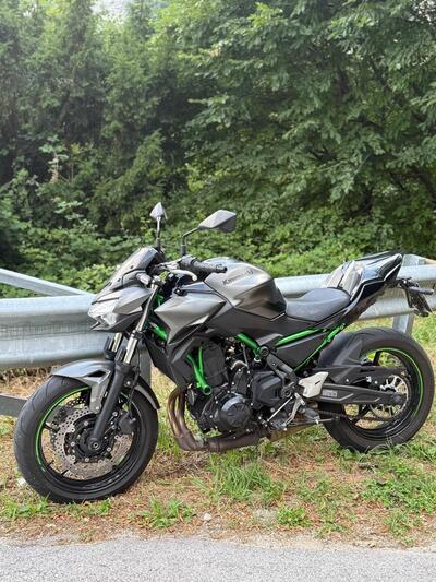 Kawasaki Z 650 Performance (2021 - 24) usata