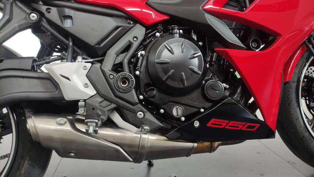 Kawasaki Ninja 650 40th Anniversary Edition (2024) (4)