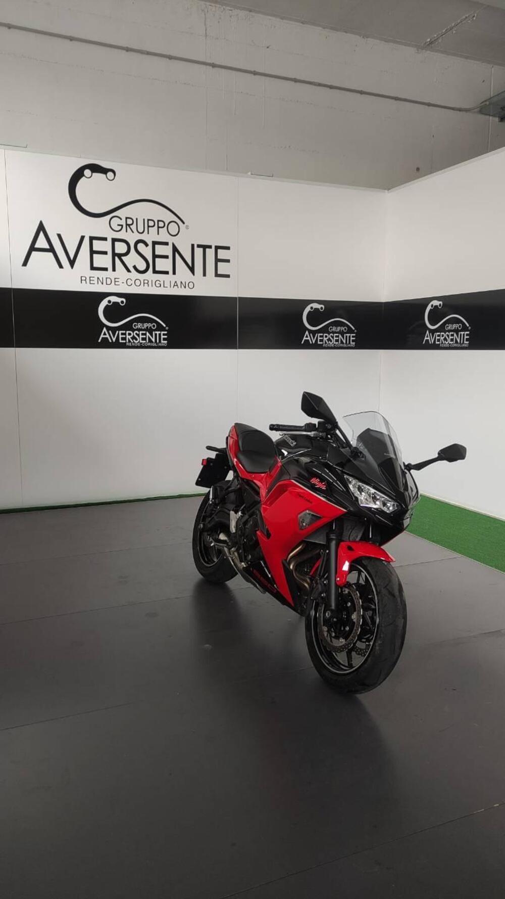 Kawasaki Ninja 650 40th Anniversary Edition (2024) (6)