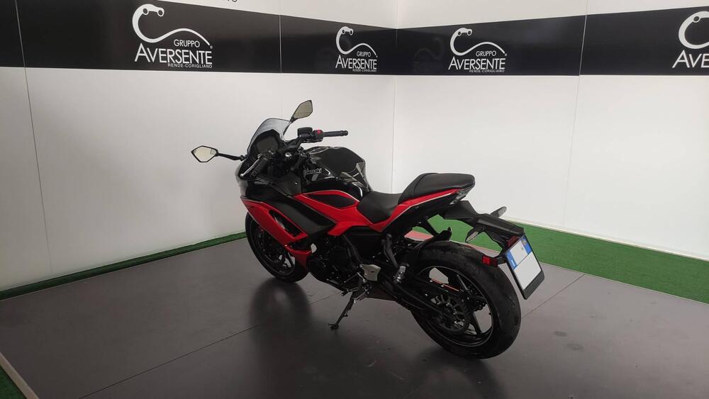 Kawasaki Ninja 650 40th Anniversary Edition (2024) (10)