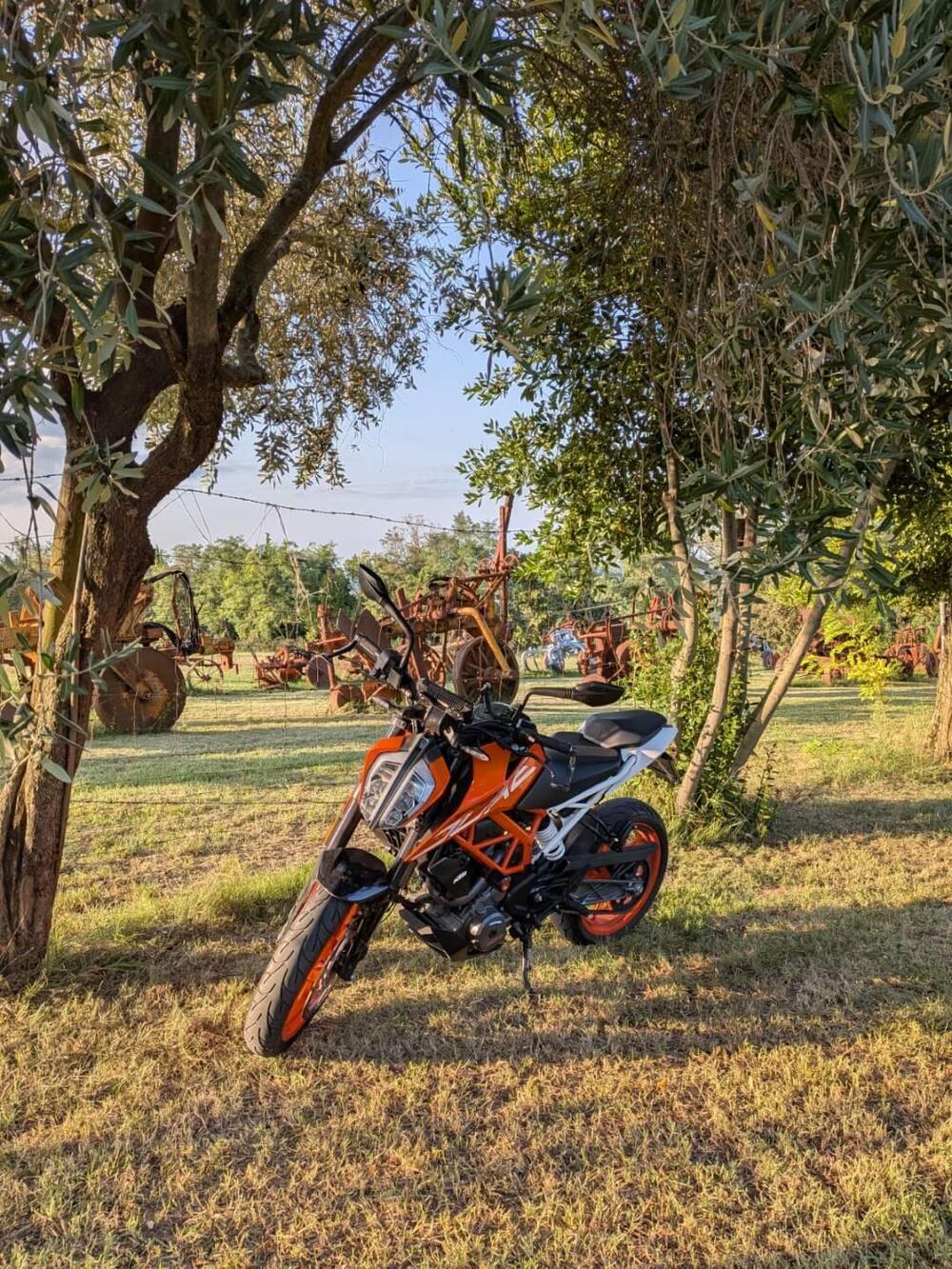 KTM 390 Duke ABS (2017 - 20) (3)