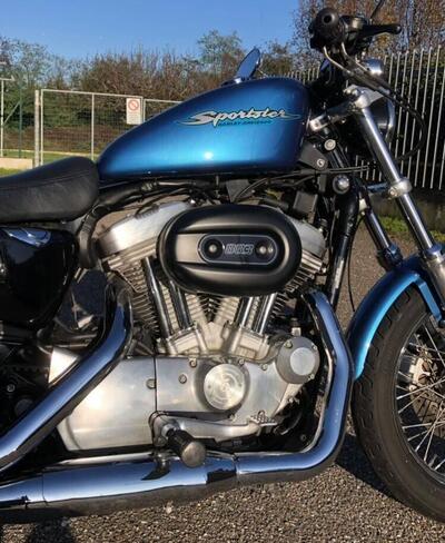 Harley-Davidson 883 (2006 - 07) - XL usata