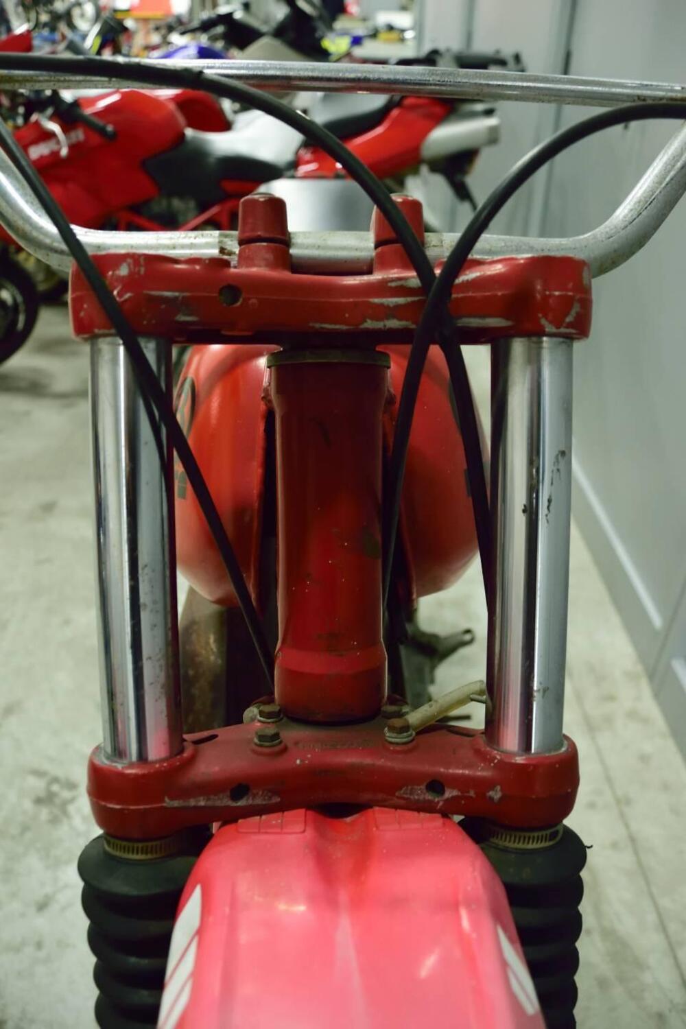 Betamotor RC 125 (12)