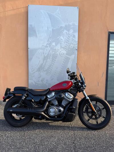 Harley-Davidson Nightster (2023 - 25) usata