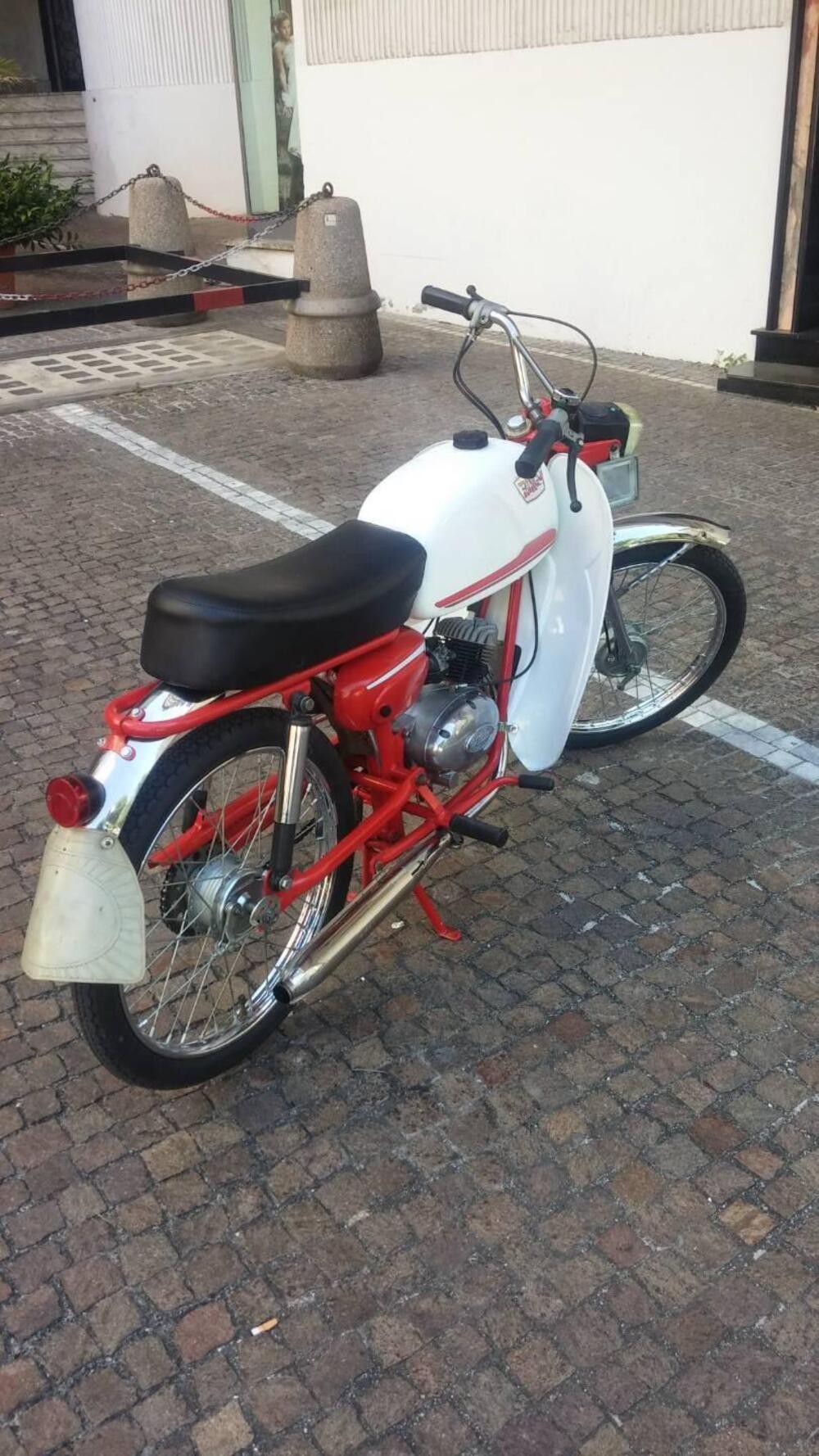 Rizzato Ringo 50 (5)