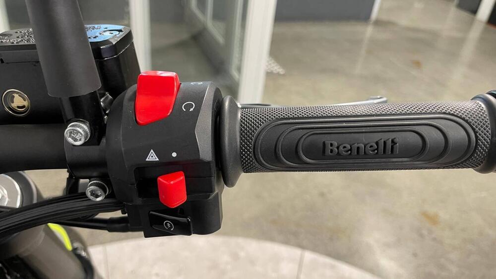 Benelli Leoncino 250 (2019 - 20) (11)