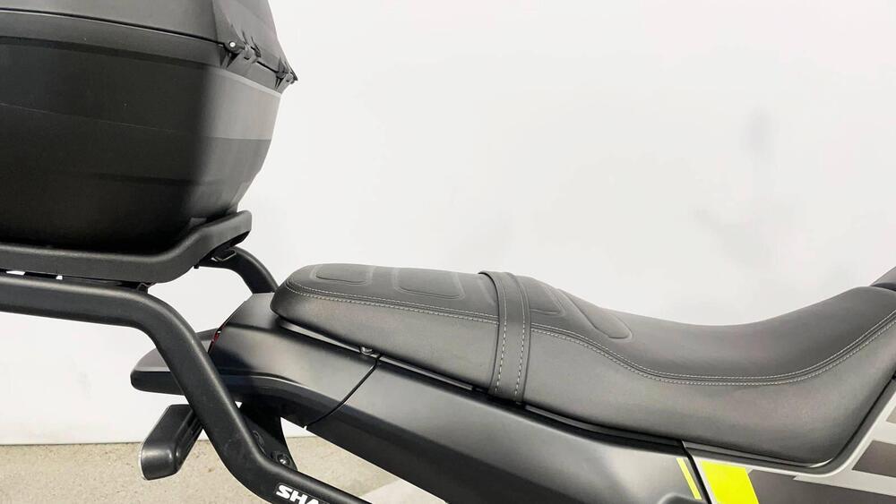 Benelli Leoncino 250 (2019 - 20) (14)