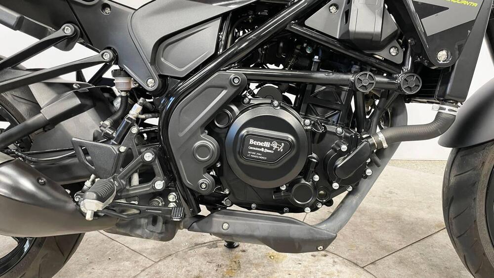 Benelli Leoncino 250 (2019 - 20) (7)