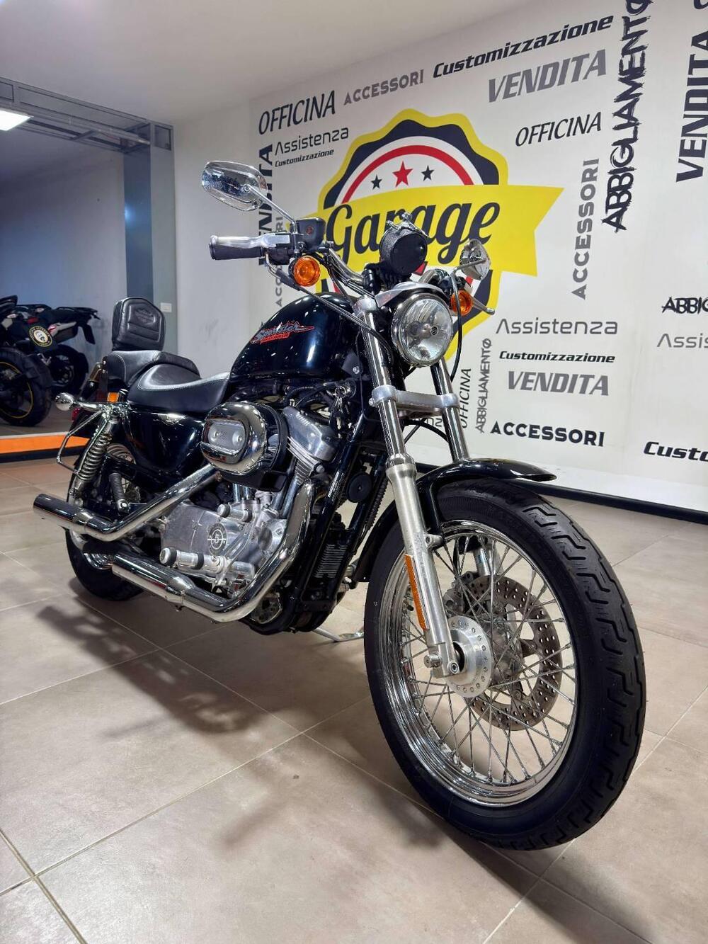 Harley-Davidson 883 (2006 - 07) - XL (2)