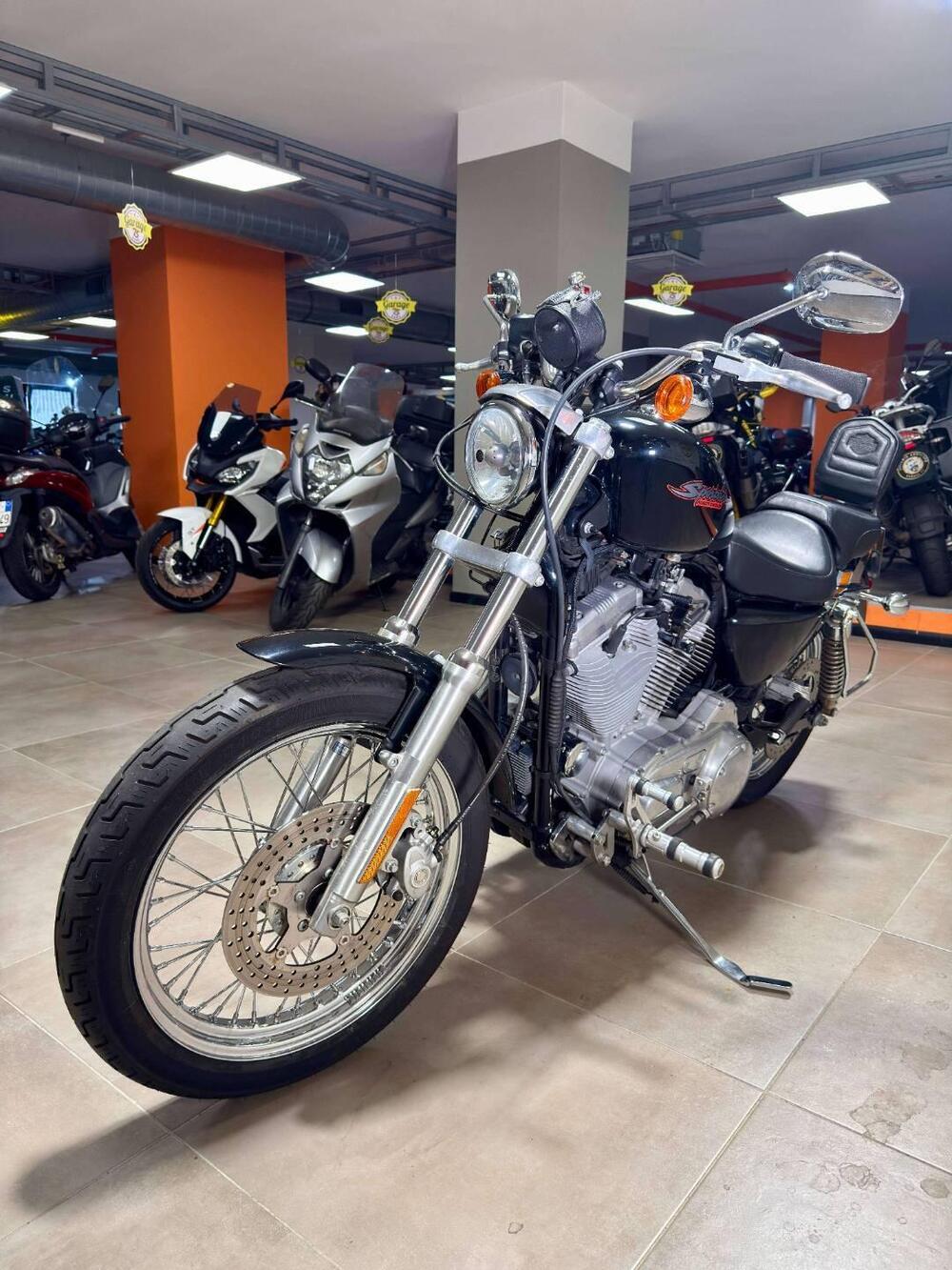 Harley-Davidson 883 (2006 - 07) - XL (3)