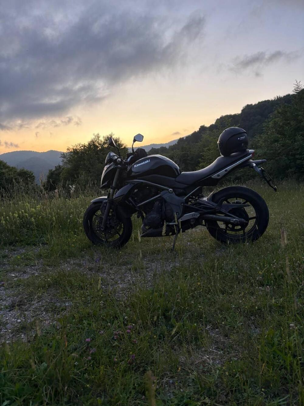 Kawasaki ER-6N (2009 - 11) (2)