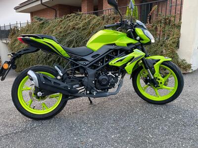 Benelli BN 125 (2021 - 25) usata