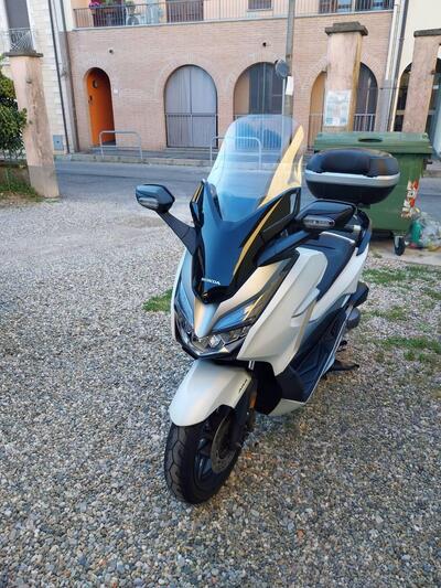 Honda Forza 300 ABS (2018 - 20) usata
