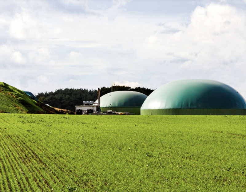 Terreno destinato alla produzione di biocarburanti