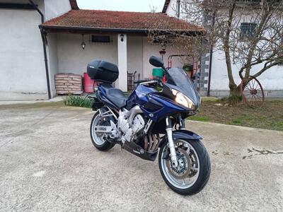 Yamaha FZ6 Fazer (2004 - 07) usata