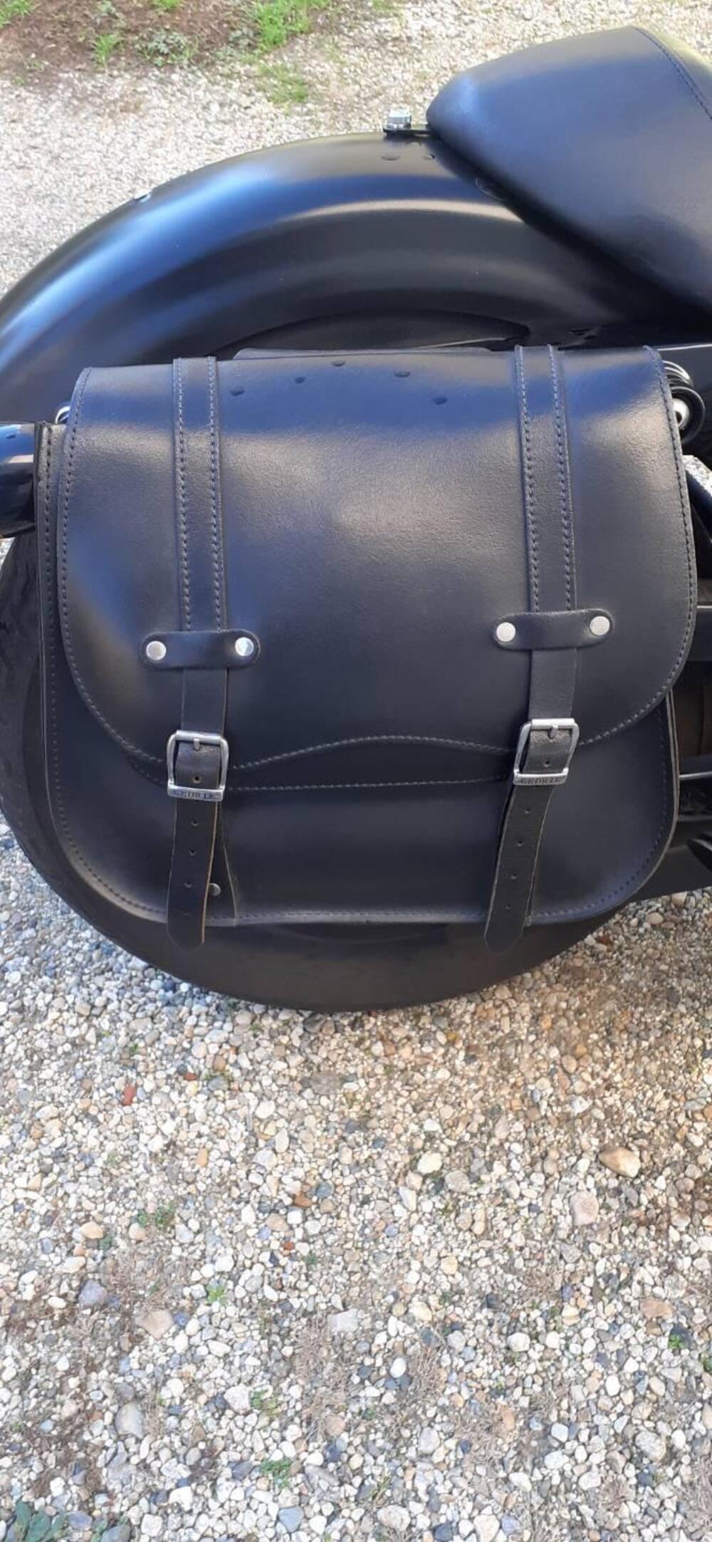 Harley-Davidson 883 Iron (2009 - 11) - XL 883N (5)