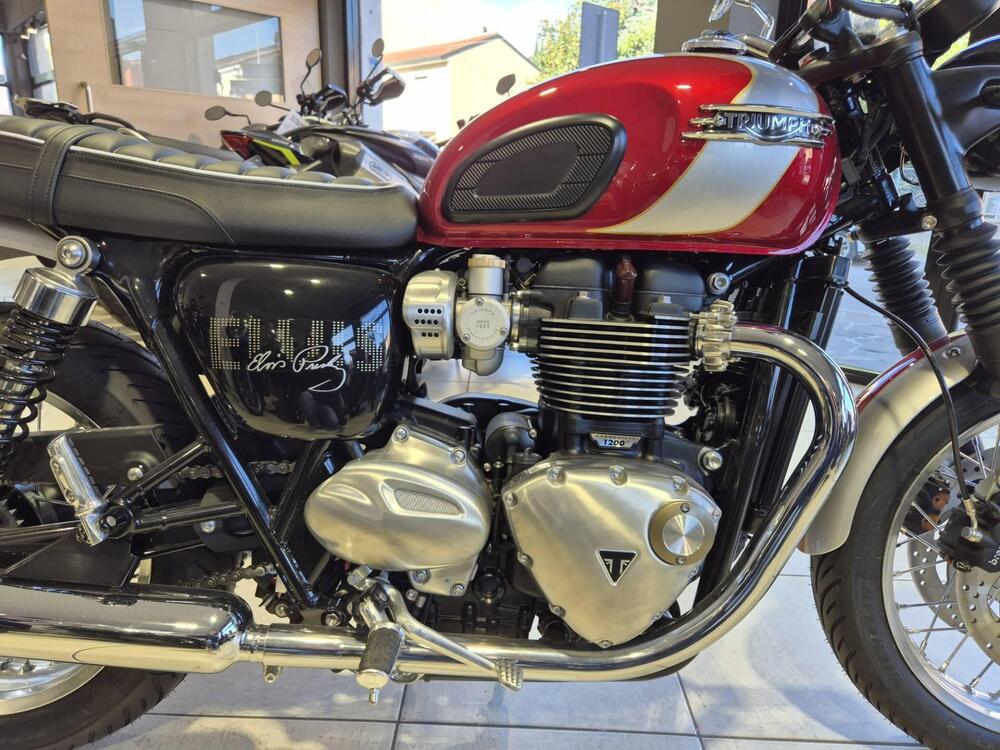 Triumph Bonneville T120 Elvis (2024 - 26) (10)