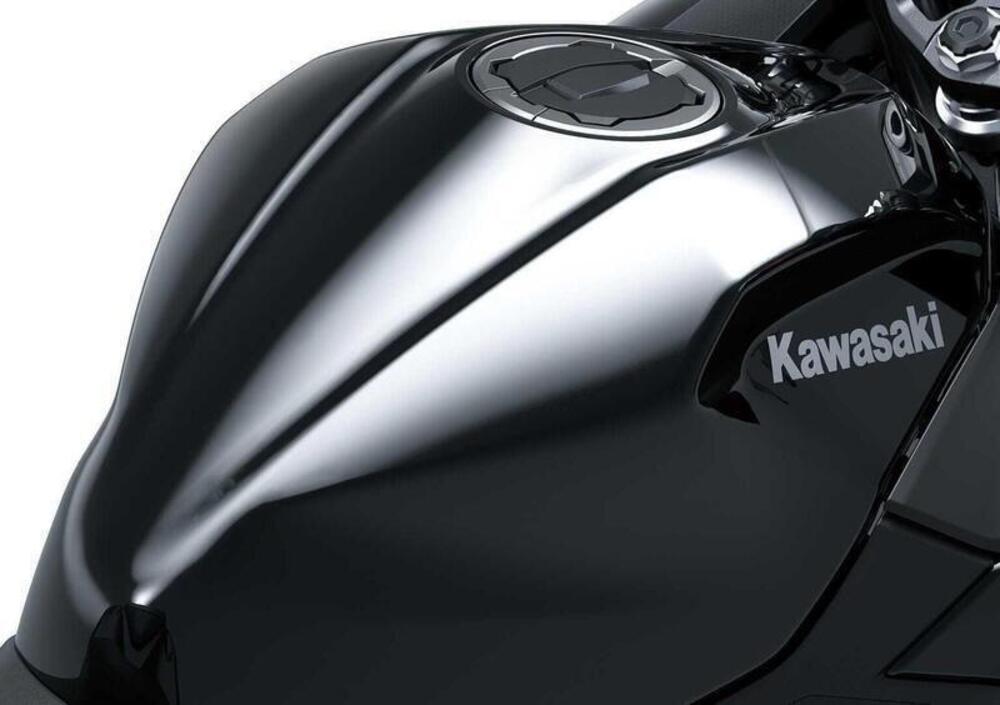 Kawasaki Ninja 500 (2024 - 26) (3)