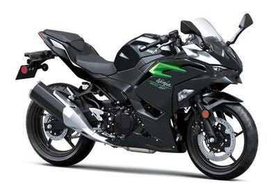 Kawasaki Ninja 500 (2024 - 26) nuova
