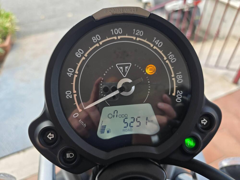 Triumph Street Scrambler 900 (2019 - 20) (13)