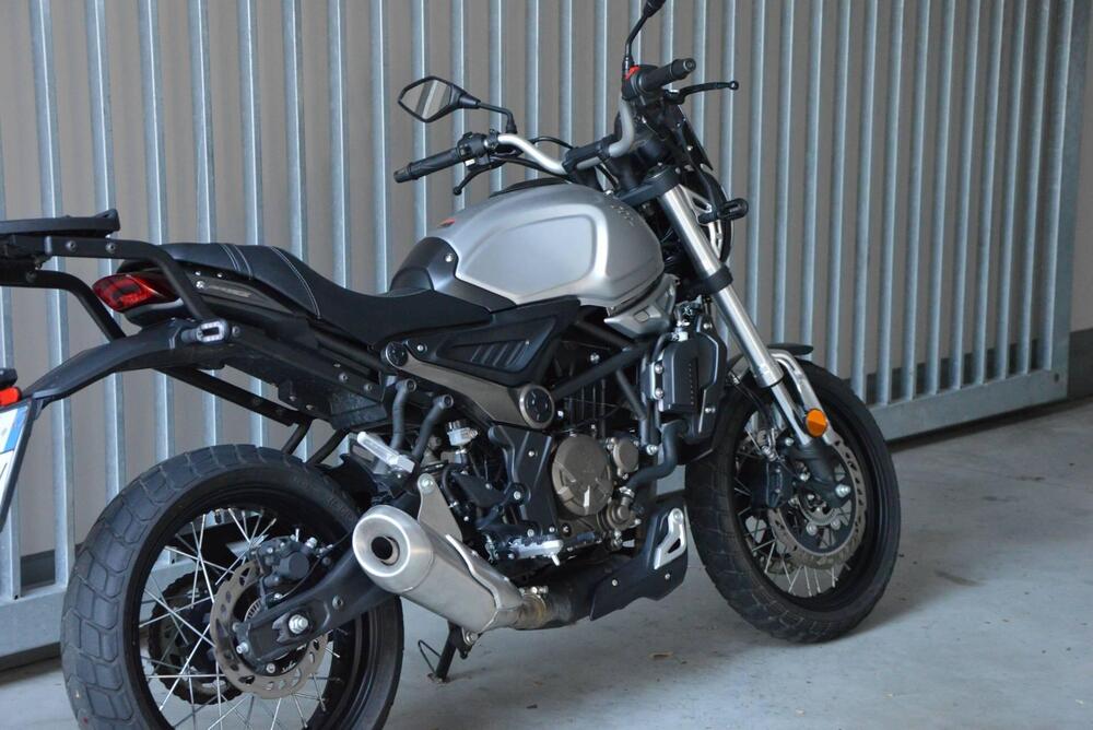 Voge Trofeo 300ACX Scrambler (2021 - 26) (3)