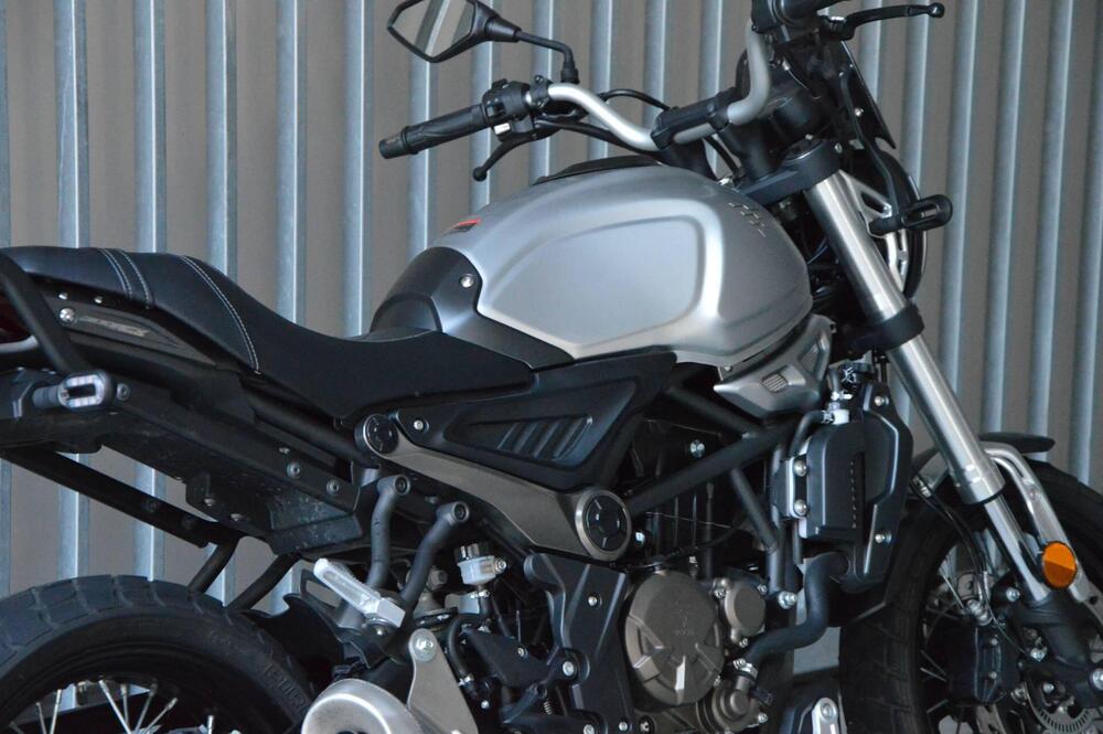 Voge Trofeo 300ACX Scrambler (2021 - 26) (4)