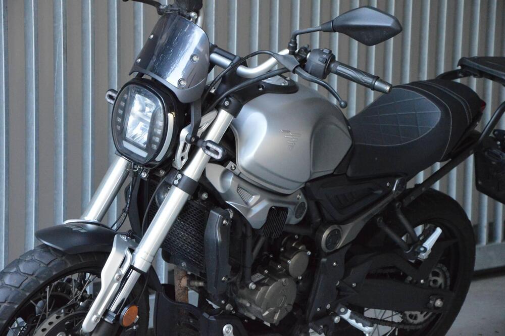 Voge Trofeo 300ACX Scrambler (2021 - 26) (8)