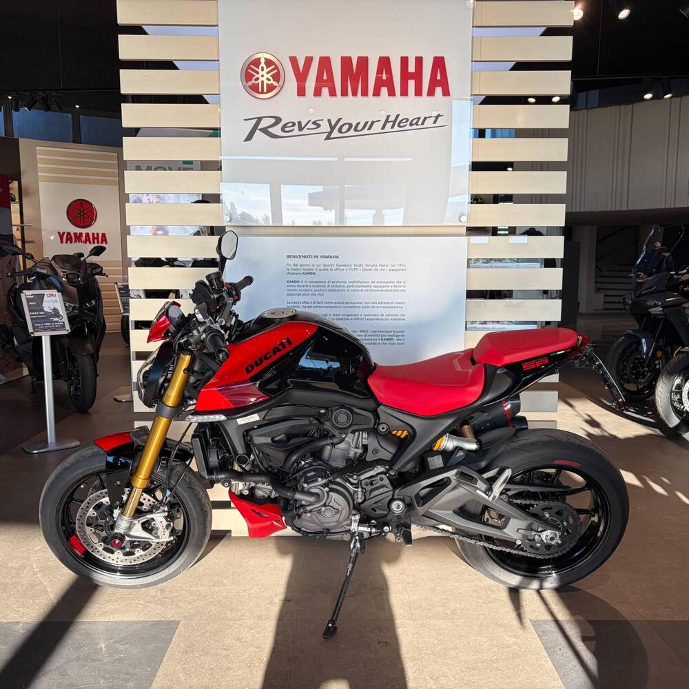 Ducati Monster 937 SP (2023 - 25) (8)