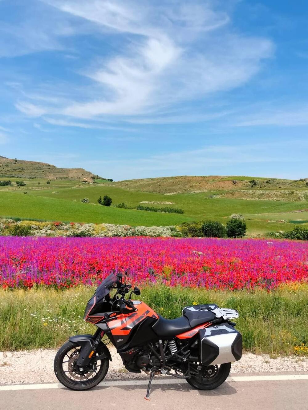 KTM 1290 Super Adventure S (2017 - 20) (2)