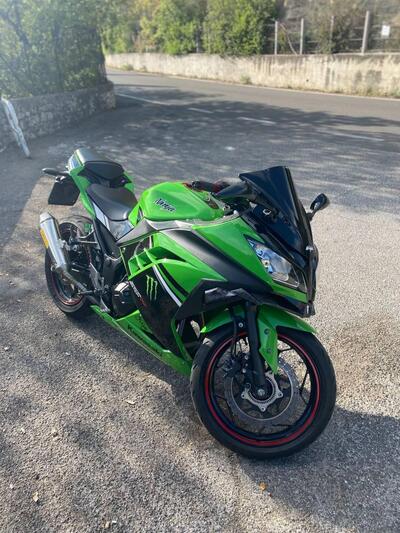 Kawasaki Ninja 300 ABS (2012 - 16) usata