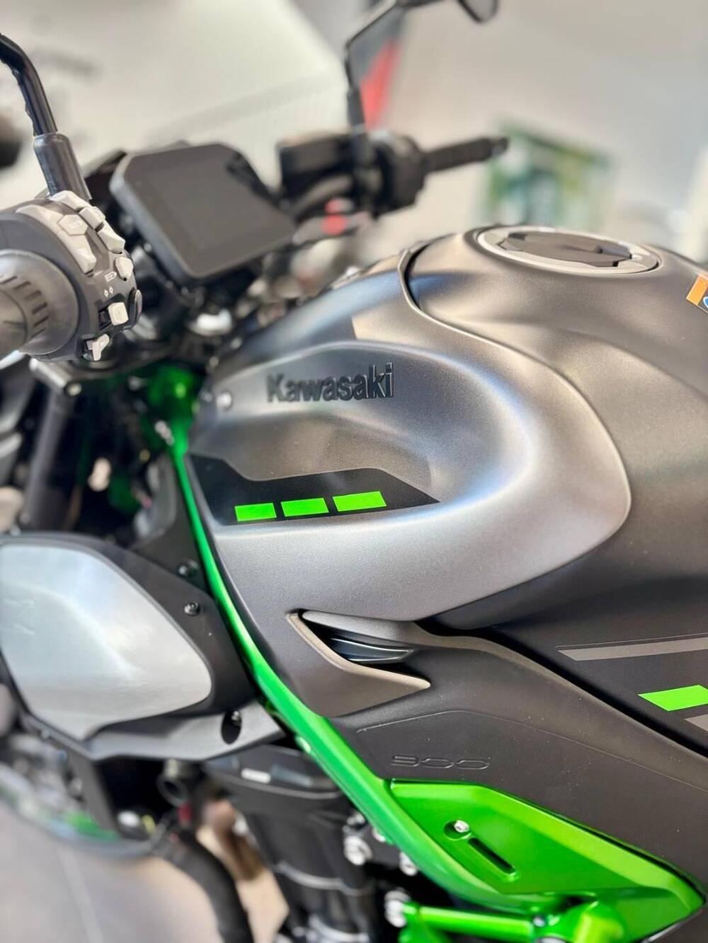 Kawasaki Z 900 (2025 - 26) (7)
