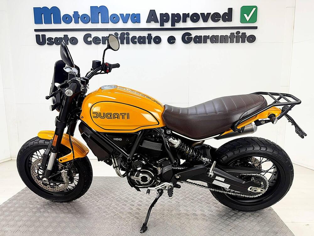 Ducati Scrambler 1100 Tribute Pro (2022 - 24) (5)