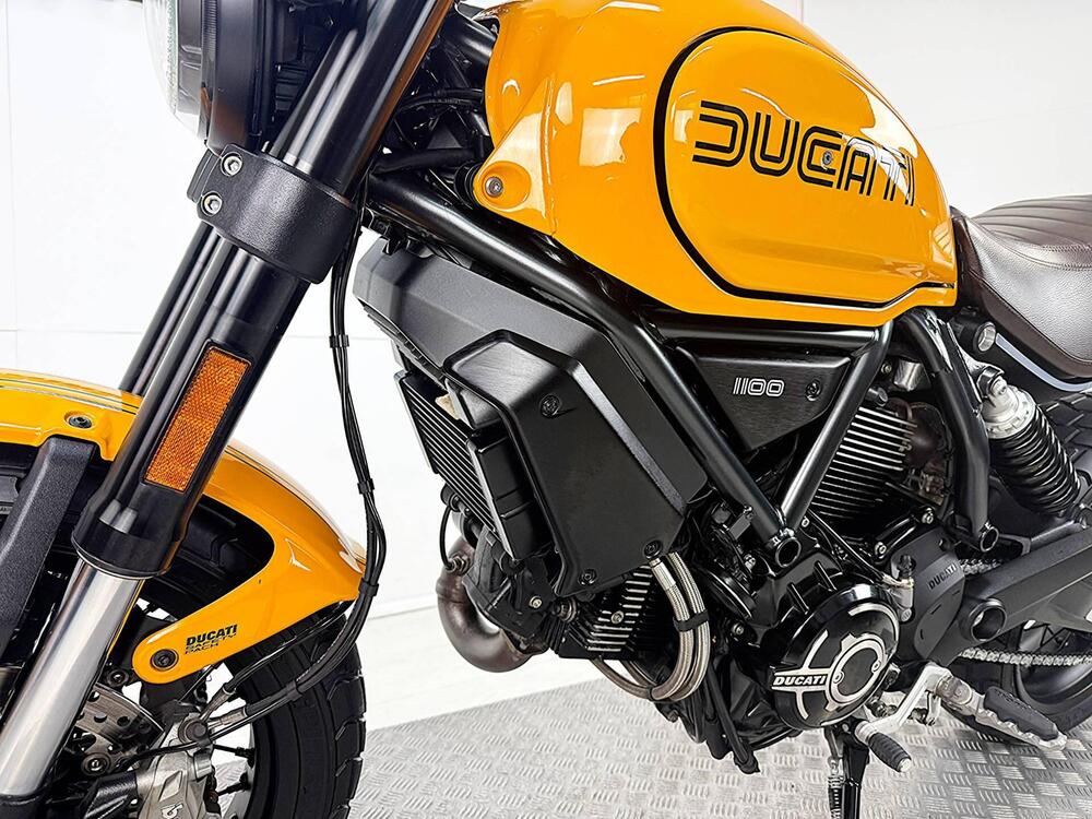 Ducati Scrambler 1100 Tribute Pro (2022 - 24) (14)