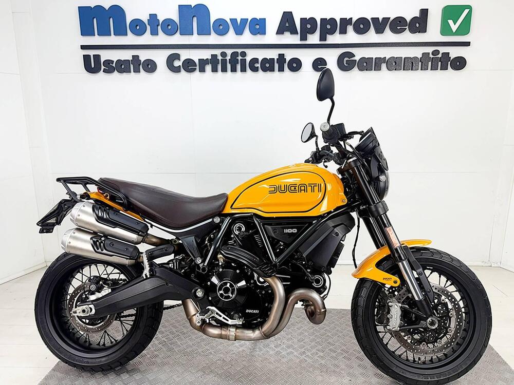 Ducati Scrambler 1100 Tribute Pro (2022 - 24) (4)